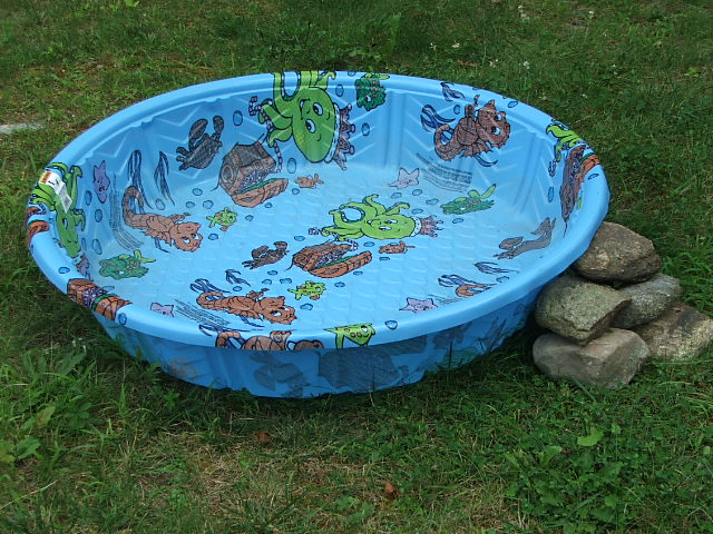 small kiddy pool